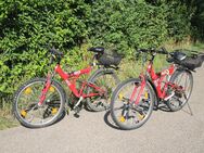 Kult-Fahrrad Coca-Cola aus den 80-ern (26 Zoll) - Petershausen