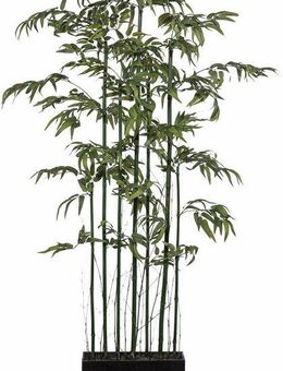 Kunstbambus Bambus Raumteiler, Creativ green, Höhe 150 cm