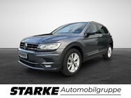 VW Tiguan, 2.0 TDI Highline, Jahr 2020 - Georgsmarienhütte