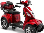 Rolektro Elektromobil Rolektro E-Quad 15 V.3 Lithium, 1000 W, 15 km/h, (mit Topcase)