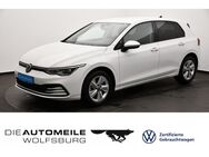 VW Golf, 1.5 TSI 8 VIII Life, Jahr 2023 - Wolfsburg