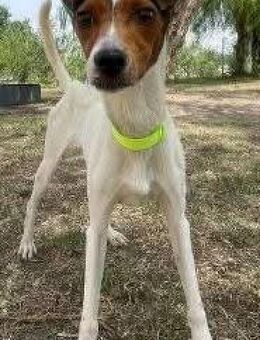 Zero ist schlau - Donaueschingen