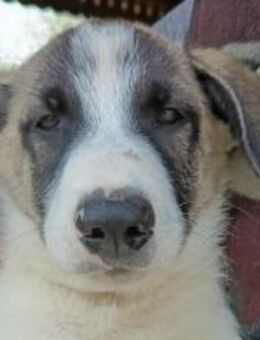 Pierre wartet auf seine Familie - München