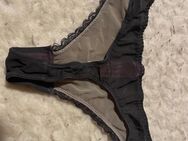 Suche diesen Tanga von Hunkemöller - Berlin