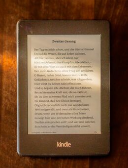 Kindle Paperwhite der 6. Gen. - Hamburg