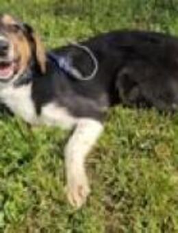 ALENJA ❤️ - Langenhagen