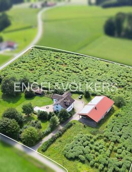 Dreifamilienhaus auf großem Grundstück mit landwirtschaftlicher Nutzfläche - Wiesenfelden