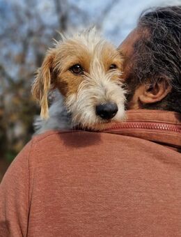 Hope kuschel Expertin sucht ihre Mensche - Großefehn