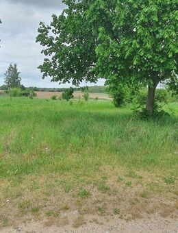 Neubauprojekt auf ca. 2120m² Grundstück in Naturidylle - nur 20 Minuten nach Strausberg - Oberbarnim