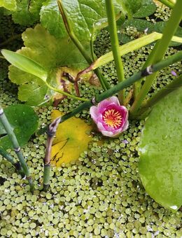 Intuitive Massage - Traunstein Zentrum