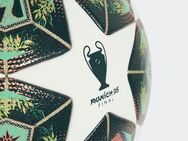 adidas Performance Fußball UCL COM (1-St)