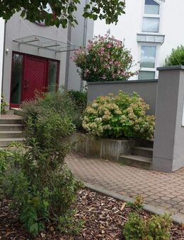 2 Zimmerwohnung in Bensheim Auerbach - Bensheim