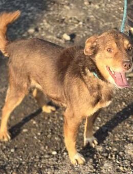 Luckymacht seinem Namen alle Ehre - Overath