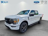 Ford F 150, 5.0 XLT V8 Ldeutscher offizieller Import, Jahr 2024 - Rutesheim