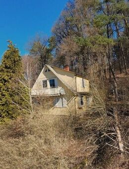 ***reserviert*** Wohnen mitten im Wald - Knüllwald-Wallenstein - Knüllwald