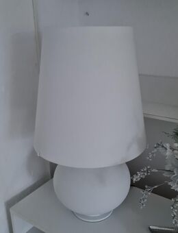 Fontana Arte Leuchtenschirm zu 1853/1 - Frankfurt (Main) Bockenheim