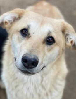 Myanmar, geb. ca. 01/2024, Griechenland - Euskirchen