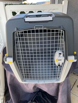 Trixie Hundetransportbox - Dettingen (Teck)