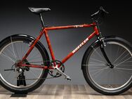 Wheeler MTB / Rahmenhöhe 50 cm / 90er Jahre Mountainbike als Stadtrad Umbau / sehr stabiler Stahlrahmen / wartungsarm und solide / ideal als Stadtrad - Varel