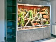 Terrarium für Schlangen - Hilden