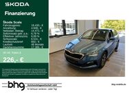 Skoda Scala, 1.0 TSI DRIVE 125, Jahr 2020 - Freudenstadt