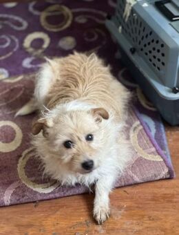 Mutter u.Tochter haben dieHölle überlebt - Mylau