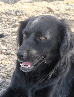 Nuts ist ein Draufgänger - Lorsch (Karolingerstadt)