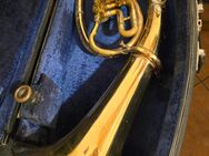 Melton Es-Horn - Miesbach