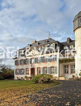 Exklusive Wohnung in herrschaftlicher Anlage mit historischer Burgkulisse - Münzenberg