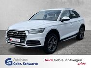 Audi Q5, 2.0 TDI quattro design, Jahr 2017 - Aurich