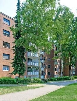 3-Zimmer-Wohnung in Bergheim Zieverich - Bergheim (Nordrhein-Westfalen)