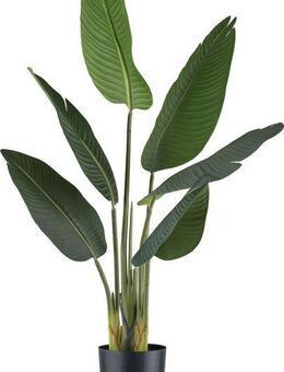 Kunstpflanze Strelitzia Grünpflanze, Creativ green, Höhe 90 cm, mit 6 Blättern