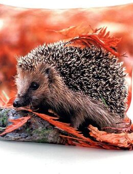 Weckbrodt Kissenhülle Igel, (1 Stück)