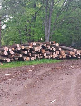 🔥🪵 Brennholz Kaminholz 🔥🪵 - Mechernich