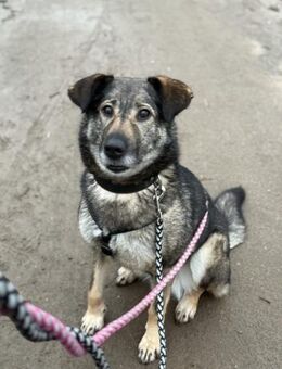 Alva bereit für Liebe, Leben und Lernen - Chemnitz