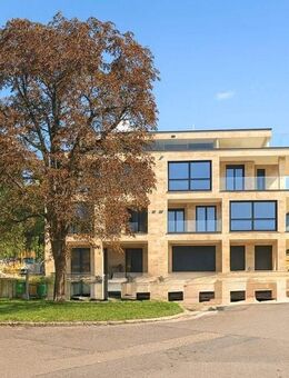 Erdgeschoss mit Garten - Designwohnung am Michelsberg - Luxus in Bestlage von Ulm - Ulm