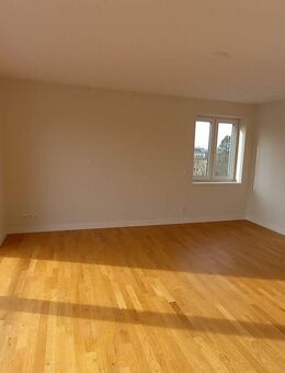 Moderne 3-Zimmer-Wohnung mit Dachterrasse - Bad Segeberg