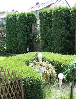 Hübsche, gepflegte Doppelhaushälfte, fünf Schlafräume, Balkon, Terrasse und Garten - Aspach