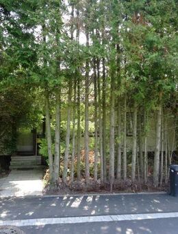 Unter 60% vom VKW für kleines renov.-bedürftiges EFH in Willingshausen. PROVISIONSFREI ! - Willingshausen