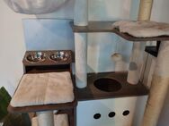 Katzen Kratzbaum Feandrea mit Futterstation und Katzenkloschrank - Radolfzell (Bodensee)