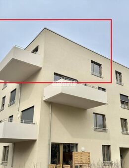 antaris Immobilien GmbH ** 2-Raum-Wohnung mit Balkon+Dachterrasse in Top-Lage am Steigereck ** - Erfurt