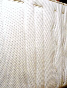 SWISSFLEX NATURLATEX-MATRATZE 90x200x22 cm - GEBRAUCHT - SAUBER - GUT ERHALTEN - Mainz