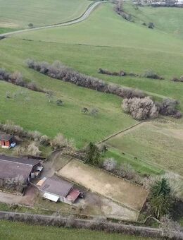 Ihr neues Projekt im Grünen: Aussiedlerhof mit 9,6 ha und vielfältigen Nutzungsmöglichkeiten - Kirrweiler
