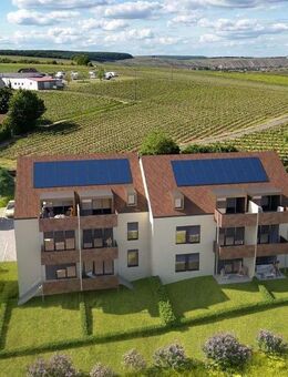 Vinea12 - Wohnen am Weinkrug - Dettelbach