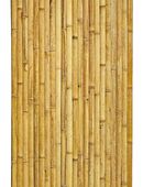 Bambus Sichtschutz 90x180 cm – Wandverkleidung Moso oder Wulung Bambus in 44628