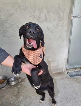 Hübsche Amelie - Eichenzell