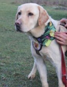 Hat Lindi dein Herz schon erobert? - München