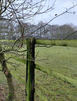 2026 ■Schöner Wohnen gesucht ■ Gemeinde Borchen / Umgebung ■ - Paderborn