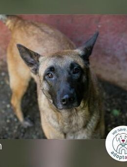 Kim: Menschen mit Geduld&Liebe gesucht - Kirchzell