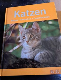 Buch Katzen Rassen Gesundheit Zusammenleben - Burgdorf (Landkreis Region Hannover)